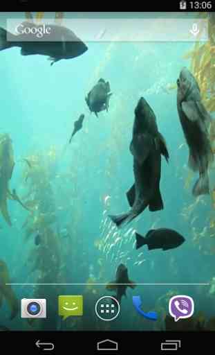 Aquarium HD Live Wallpaper 4
