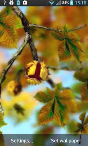 Autumn Leaves in HD Gyro 3D XL 1