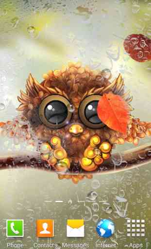 Autumn Little Owl Wallpaper 1