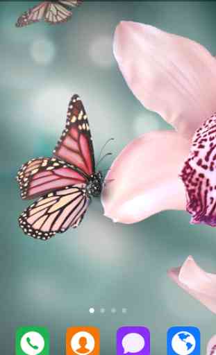 Beautiful Butterfly Wallpapers 2
