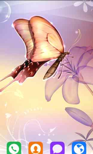 Beautiful Butterfly Wallpapers 3