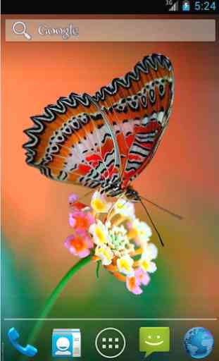 Butterfly Live Wallpaper 4