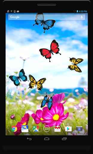 Butterfly live wallpaper 1