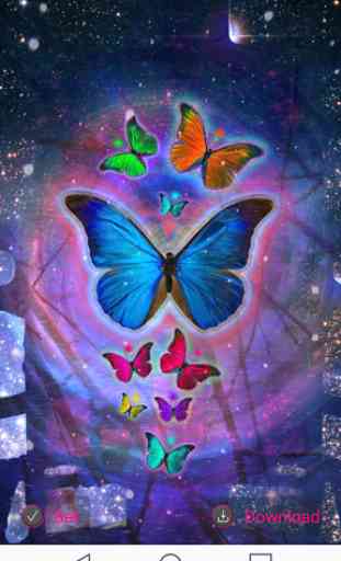 Butterfly Wallpaper 3