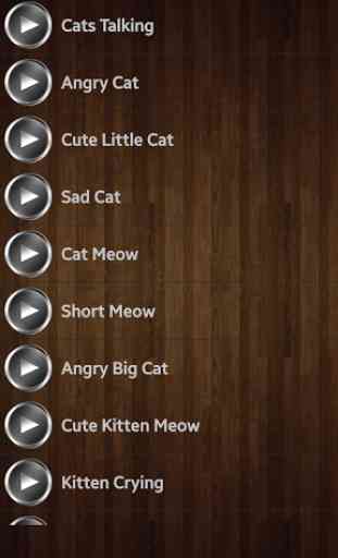 Cat Sounds and Ringtones 1