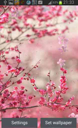 Cherry Blossom Live Wallapper 3