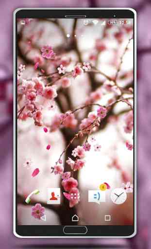 Cherry blossom Live Wallpaper 3