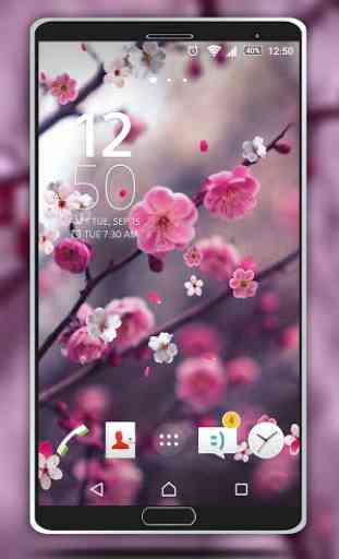 Cherry blossom Live Wallpaper 4