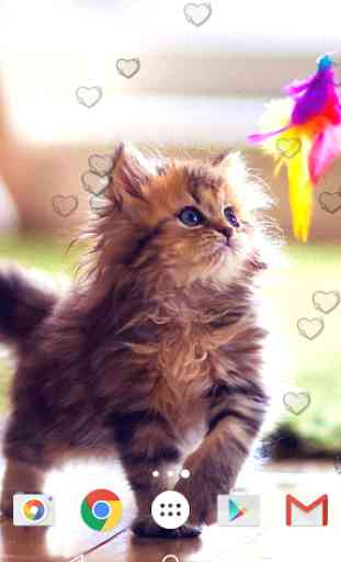 Cute Kittens Live Wallpaper 4