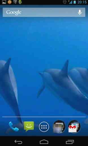 Dolphins 3D. Live Wallpaper. 1