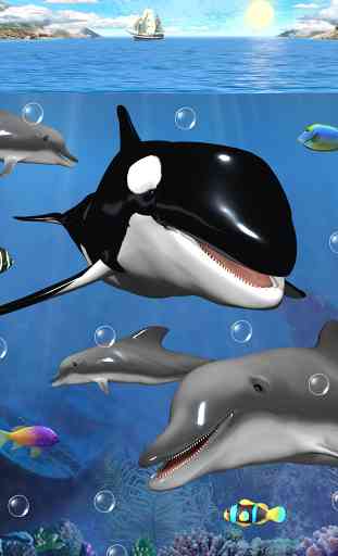 Dolphins and orcas wallpaper 2