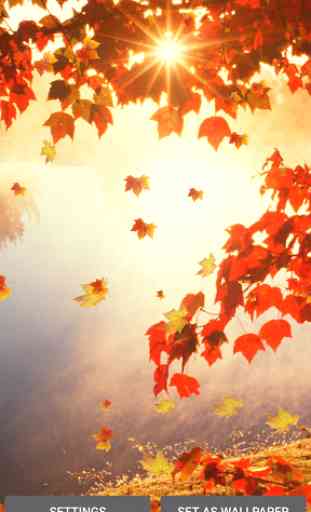 Falling Leaves Live Wallpaper 1