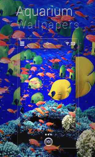 Fish Aquarium Live Wallpapers 1