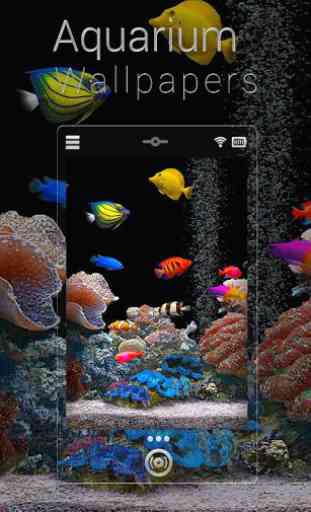 Fish Aquarium Live Wallpapers 2