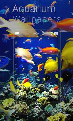 Fish Aquarium Live Wallpapers 3