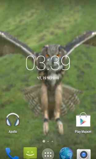 Flying Owl Live Wallpaper 1