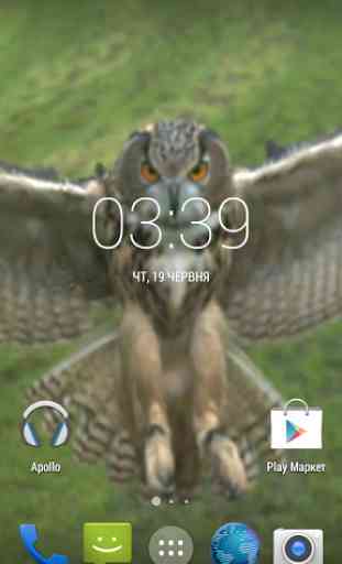 Flying Owl Live Wallpaper 2