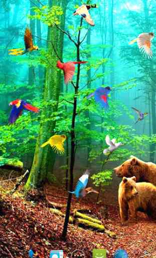 Forest Birds Live Wallpaper 1