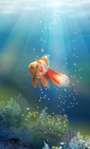 Goldfish Live Wallpaper 1