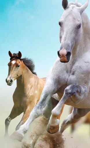 Horse Pictures Live Wallpaper 1