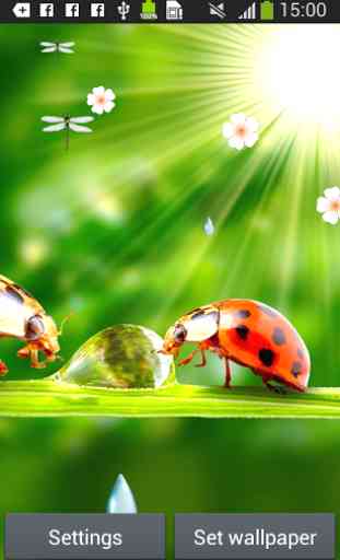 Ladybug Live Wallpapers 4