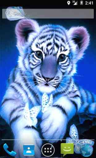 Little Blue Tiger Wallpaper 1