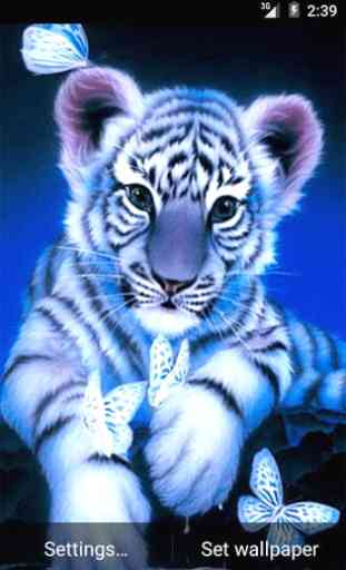 Little Blue Tiger Wallpaper 2