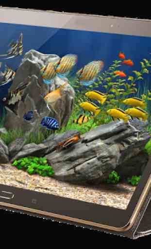 Lucky Aquarium Live Wallpaper 2