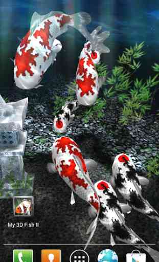 My 3D Fish II 4