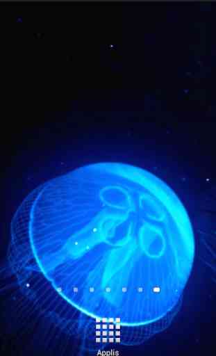 Night Light Jelly Fish LWP 1