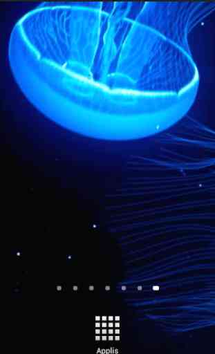 Night Light Jelly Fish LWP 3