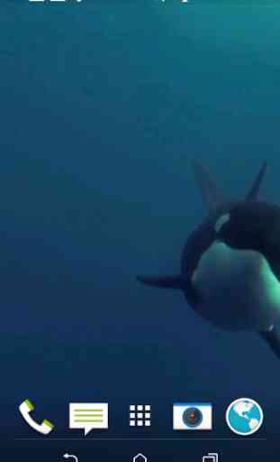 Orca 3D Video Wallpaper 2