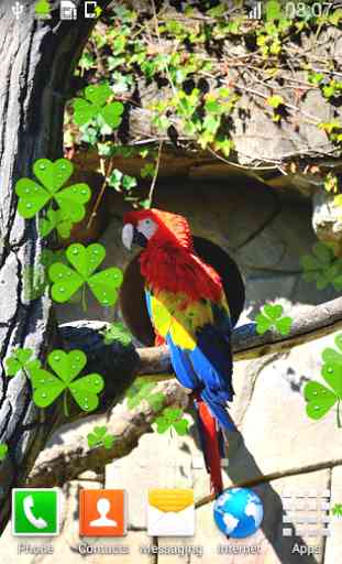 Parrot Live Wallpapers 3