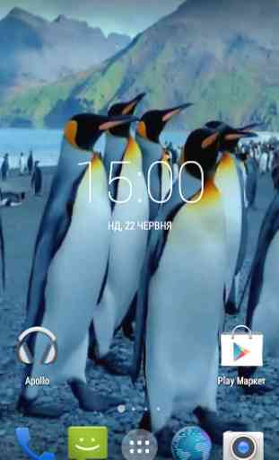 Penguins 3D. Live Wallpaper 1