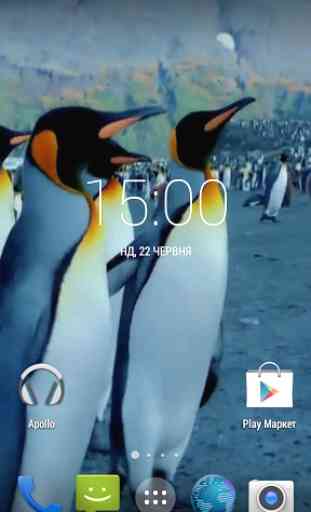 Penguins 3D. Live Wallpaper 2