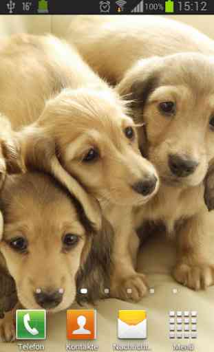 Puppies dogs live wallpaper 1