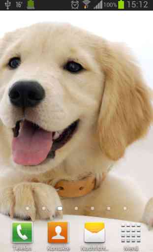 Puppies dogs live wallpaper 3