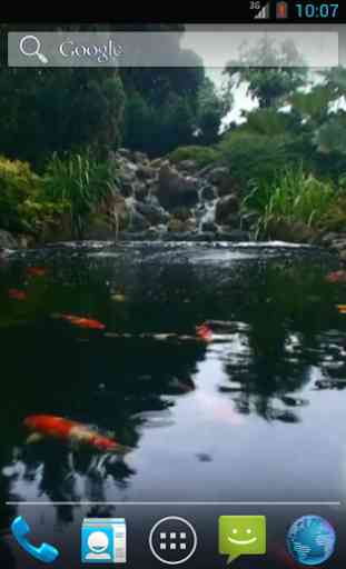 Real pond with Koi 1