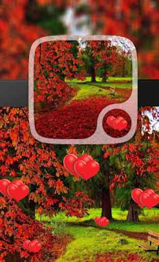 Romantic Fall Live Wallpapers 4
