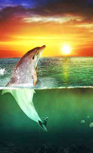 Sea Dolphin Live Wallpaper 1