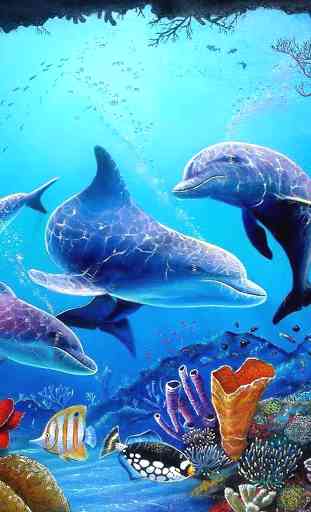 Sea Dolphin Live Wallpaper 2