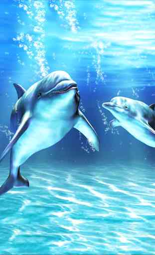 Sea Dolphin Live Wallpaper 3