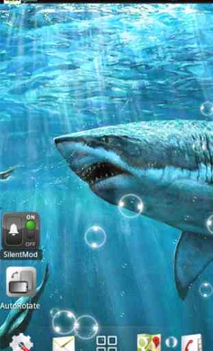 Sharks live wallpapers 1