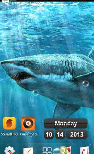 Sharks live wallpapers 2