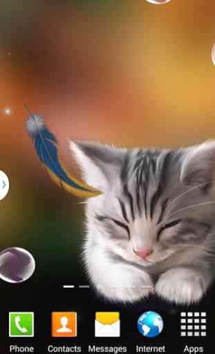 Sleepy Kitten Wallpaper Lite 2