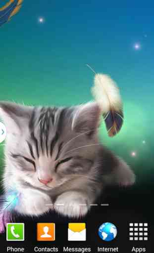 Sleepy Kitten Wallpaper Lite 3
