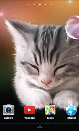 Sleepy Kitten Wallpaper Lite 4