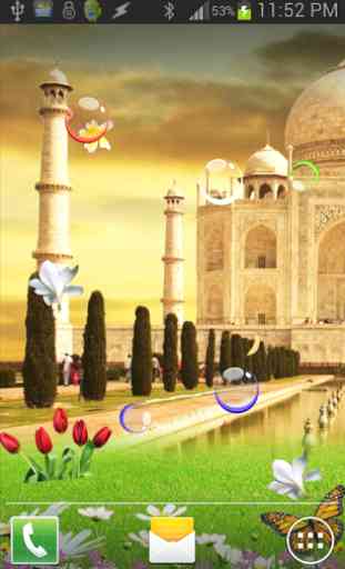 Taj Mahal Birds Live Wallpaper 1