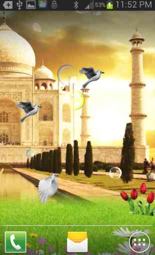 Taj Mahal Birds Live Wallpaper 3