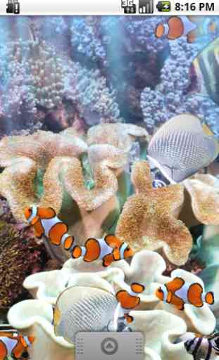 The real aquarium - LWP 4